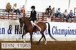 13yn_11963 thumbnail