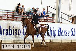 13yn_11971 thumbnail