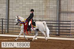 13yn_18900 thumbnail