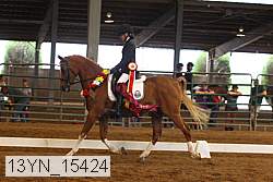 13yn_15424 thumbnail
