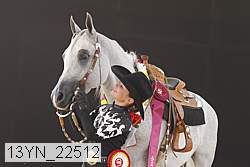 13yn_22512 thumbnail