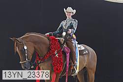 13yn_23378 thumbnail