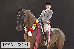 13yn_23470 thumbnail