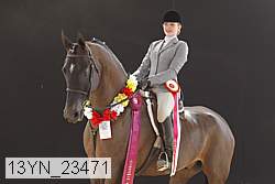 13yn_23471 thumbnail