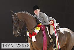13yn_23478 thumbnail