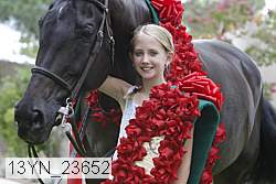 13yn_23652 thumbnail