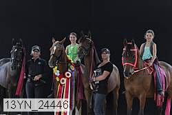 13yn_24446 thumbnail