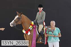 13yn_26388 thumbnail
