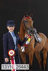13yn_26443 thumbnail