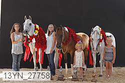 13yn_27758 thumbnail