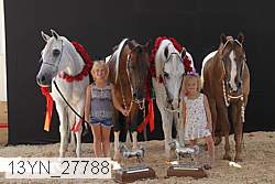 13yn_27788 thumbnail