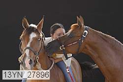 13yn_27896 thumbnail