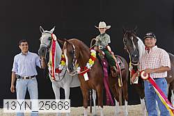 13yn_25668 thumbnail