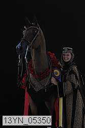 13yn_05350 thumbnail