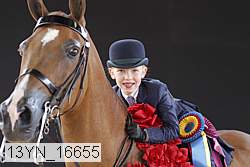 13yn_16655 thumbnail