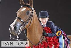 13yn_16656 thumbnail