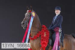 13yn_16664 thumbnail
