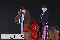 13yn_16665 thumbnail