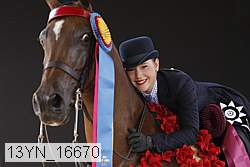 13yn_16670 thumbnail
