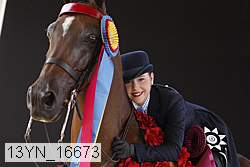 13yn_16673 thumbnail