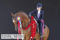 13yn_16700 thumbnail