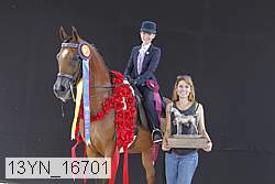 13yn_16701 thumbnail