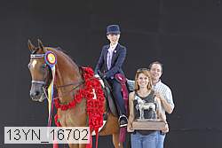 13yn_16702 thumbnail