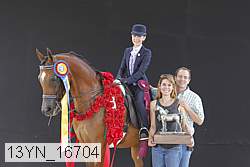 13yn_16704 thumbnail