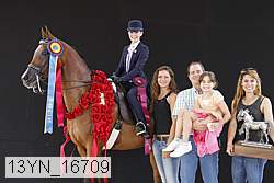 13yn_16709 thumbnail
