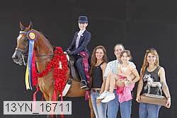 13yn_16711 thumbnail