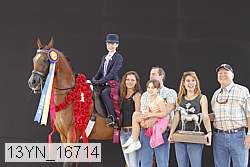 13yn_16714 thumbnail