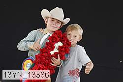 13yn_13386 thumbnail