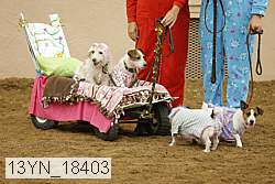 13yn_18403 thumbnail