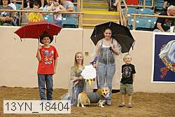 13yn_18404 thumbnail