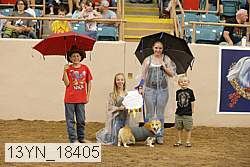 13yn_18405 thumbnail