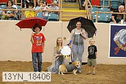 13yn_18406 thumbnail