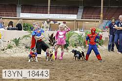 13yn_18443 thumbnail