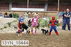 13yn_18444 thumbnail