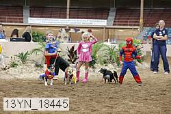 13yn_18445 thumbnail