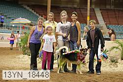 13yn_18448 thumbnail