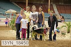 13yn_18450 thumbnail