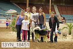 13yn_18451 thumbnail