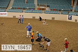 13yn_18457 thumbnail