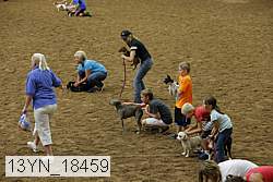 13yn_18459 thumbnail