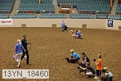 13yn_18460 thumbnail