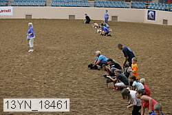 13yn_18461 thumbnail