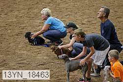 13yn_18463 thumbnail
