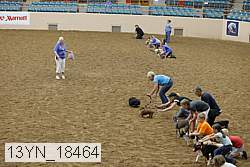 13yn_18464 thumbnail