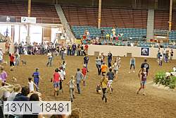 13yn_18481 thumbnail