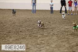 _89e8246 thumbnail